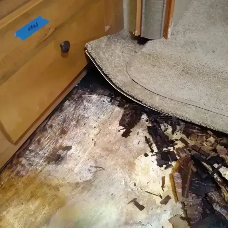 Best Wood Floor Water Damage Service in McKinley Heights, OH